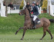 Wiering World Wide TosTour 2013- S5 7853 : Arezzo Equestrian Centre, Toscana Tour 2013, Wiering Harrie, World wide, foto di Stefano Secchi ©